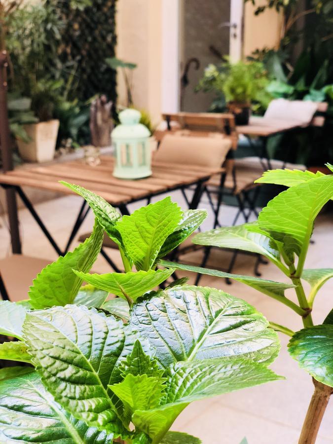 Hotel Carbonell Llanca Ngoại thất bức ảnh